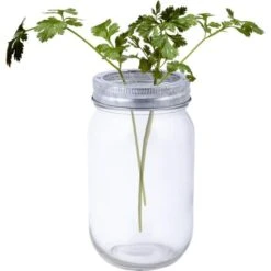 ESSCHERT DESIGN Glazen Bloemenvaas JAR Met Schikdeksel