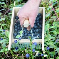 ESSCHERT DESIGN Bessenplukker Traditioneel - Hout -Esschert Design bessenplukker traditioneel hout 1484066719 4 600