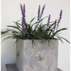 ESSCHERT DESIGN Bloembak Leeuw Vierkant - Metaal - Set Van 2 Stuks -Esschert Design bloembak leeuw vierkant 1610976890 3 600