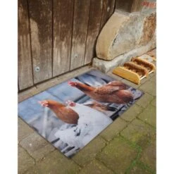 ESSCHERT DESIGN Deurmat Kippen -Esschert Design deurmat kippen 1484055432 3 600