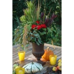 ESSCHERT DESIGN Franse Hoge Vaas 29 Cm 9 ESSCHERT DESIGN Franse Hoge Vaas 29 Cm -Esschert Design franse vaas gietijzer 30 cm 1492516881 1 600