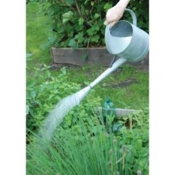 ESSCHERT DESIGN Gieter Met Extra Lange Giettuit 4,5L -Esschert Design gieter met extra lange giettuit 45l 1532767455 3 600