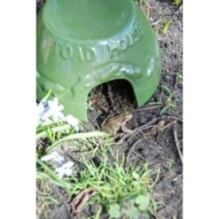 ESSCHERT DESIGN Paddenhuis - Kikkerpot In Keramiek -Esschert Design kikkerpot groen 1484052767 3 600