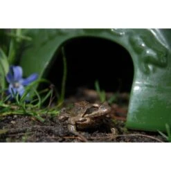 ESSCHERT DESIGN Paddenhuis - Kikkerpot In Keramiek -Esschert Design kikkerpot groen 1484052767 4 600