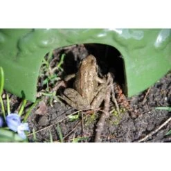 ESSCHERT DESIGN Paddenhuis - Kikkerpot In Keramiek -Esschert Design kikkerpot groen 1484052767 5 600