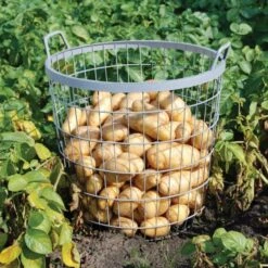 ESSCHERT DESIGN Metalen Oogstkorf - Aardappelmand -Esschert Design metalen oogstmand 1484055471 2 600