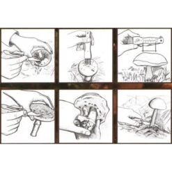 ESSCHERT DESIGN Paddenstoelenmes -Esschert Design paddenstoelenmes 1484053684 2 600