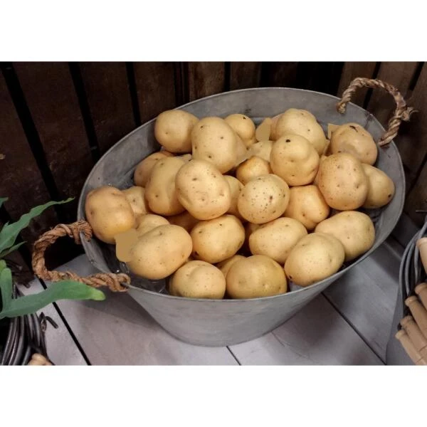 ESSCHERT DESIGN Teil Oud Zink 4 ESSCHERT DESIGN Teil Oud Zink - Afbeelding 2