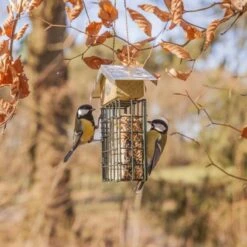 ESSCHERT DESIGN Vetblokhouder Met Zinken Dak -Esschert Design vetblokhouder met zinken dak 1548681335 2 600