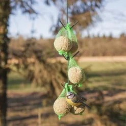 ESSCHERT DESIGN Vogelvoederhaak Met Donkergroen Dakje -Esschert Design vogelvoederhaak groen 1538483607 1 600