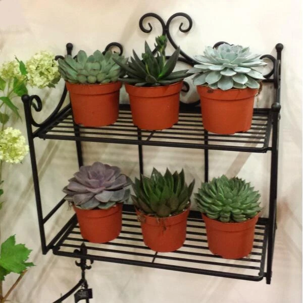 ESSCHERT DESIGN Wandetagere - Plantenrek 47 Cm - Afbeelding 5